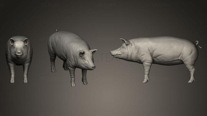 Статуэтки животных Pig 3D  Model